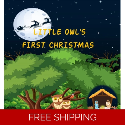 Little Owl's First Christmas Little Owl's First Christmas